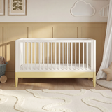 White | Primrose Yellow