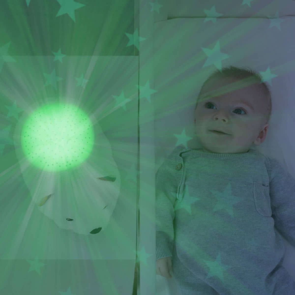 ZAZU Bedtime Projector - Polly The Polar Bear With Star Projections by ZAZU star projector