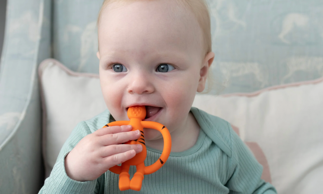 Parent helping a teething baby chew on a silicone teether during early oral development