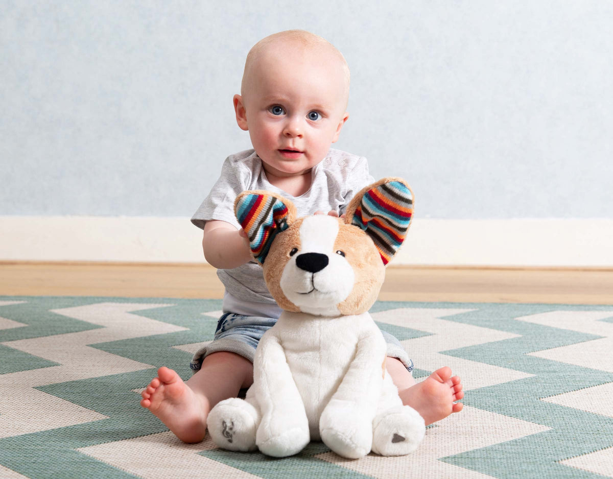 ZAZU Soft Toy - Danny The Dog by ZAZU interactive soft toy