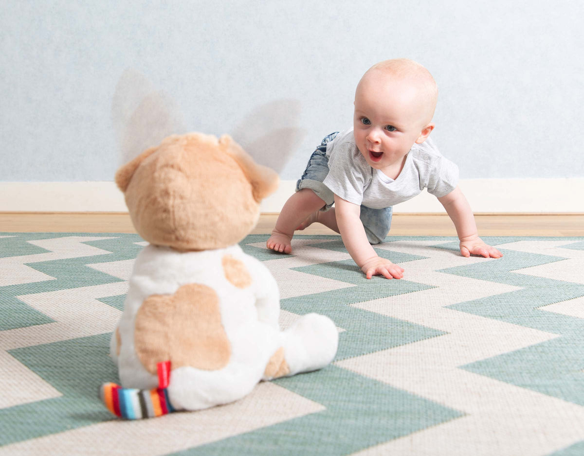 ZAZU Soft Toy - Danny The Dog by ZAZU interactive soft toy