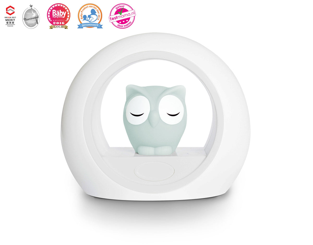 ZAZU Nightlight - Lou The Owl (Grey) by ZAZU owl nightlight