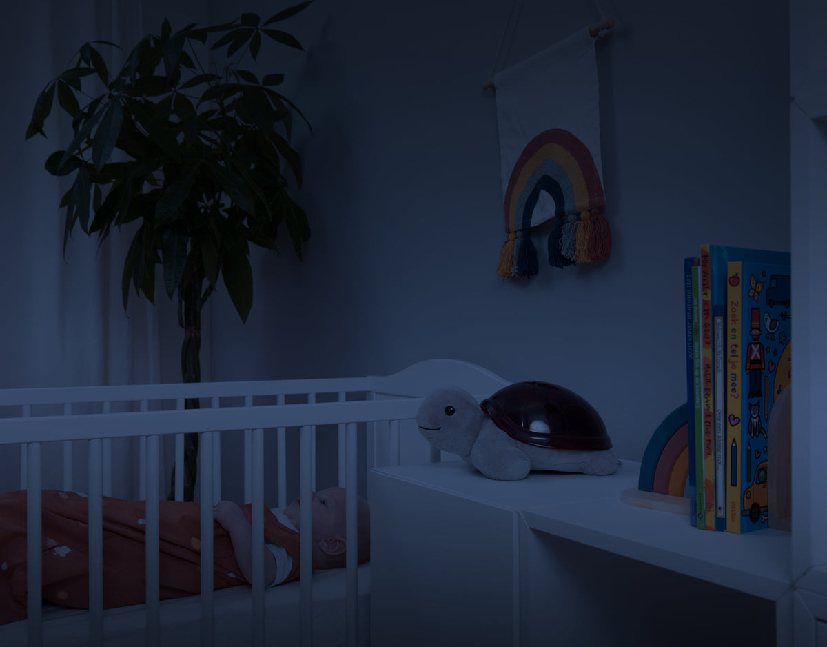 ZAZU Bedtime Projector - Tim The Turtle With Sunset Projections by ZAZU sunset projector