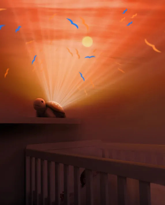 ZAZU Bedtime Projector - Tim The Turtle With Sunset Projections by ZAZU sunset projector