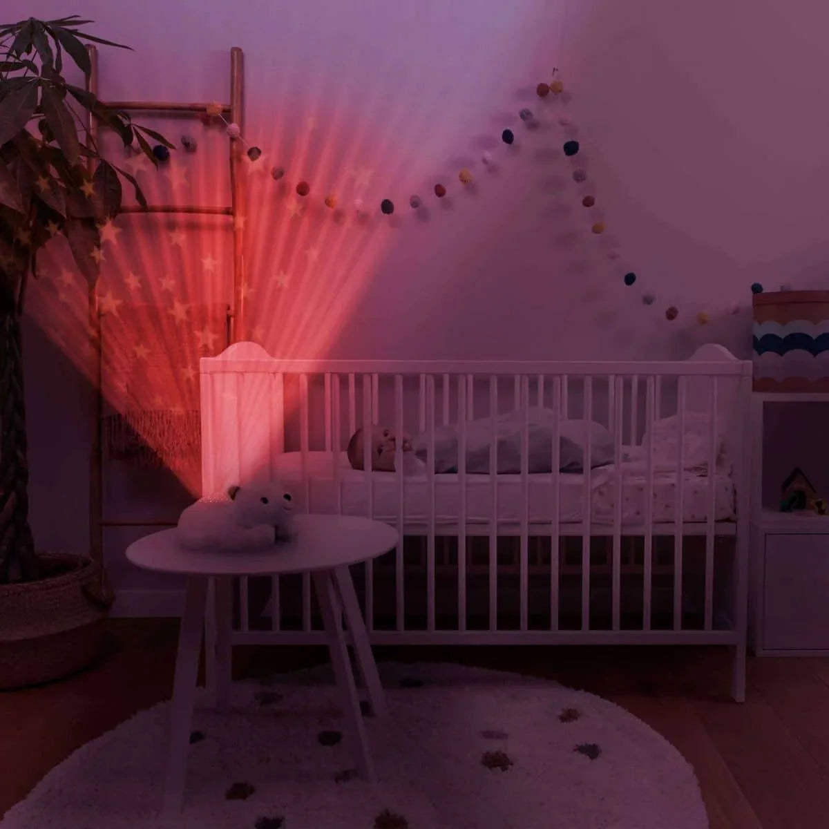 ZAZU Bedtime Projector - Polly The Polar Bear With Star Projections by ZAZU star projector